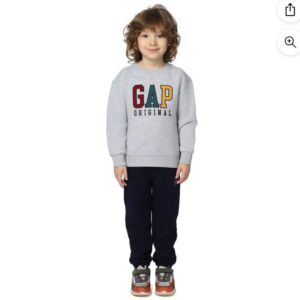 Gap Toddler Boys Logo Fleece Set (2T to 5T) grey